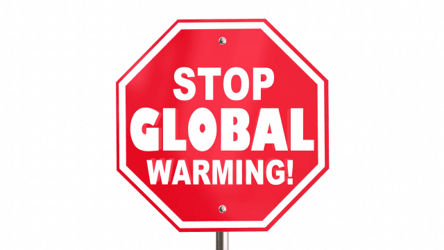 did-global-warming-stop-whiteout-press